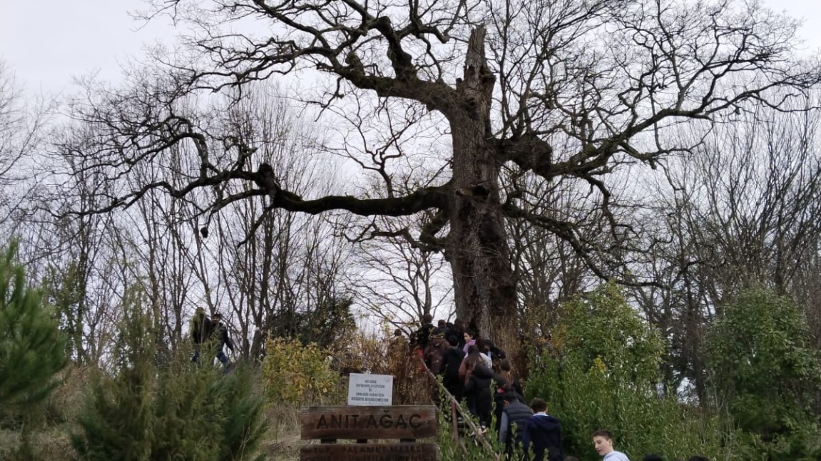 500 Yıllık Anıt Ağacı Ziyaret Ettik